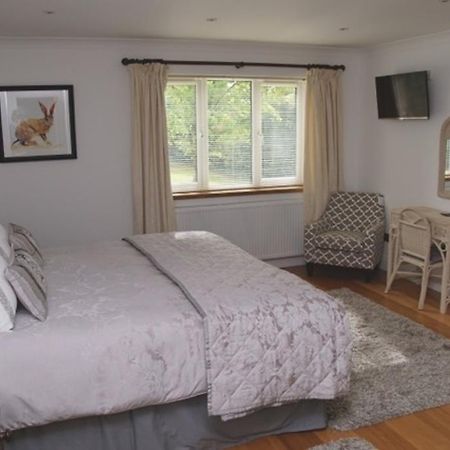 Cherry Tree Guesthouse Bradford-On-Avon Bilik gambar